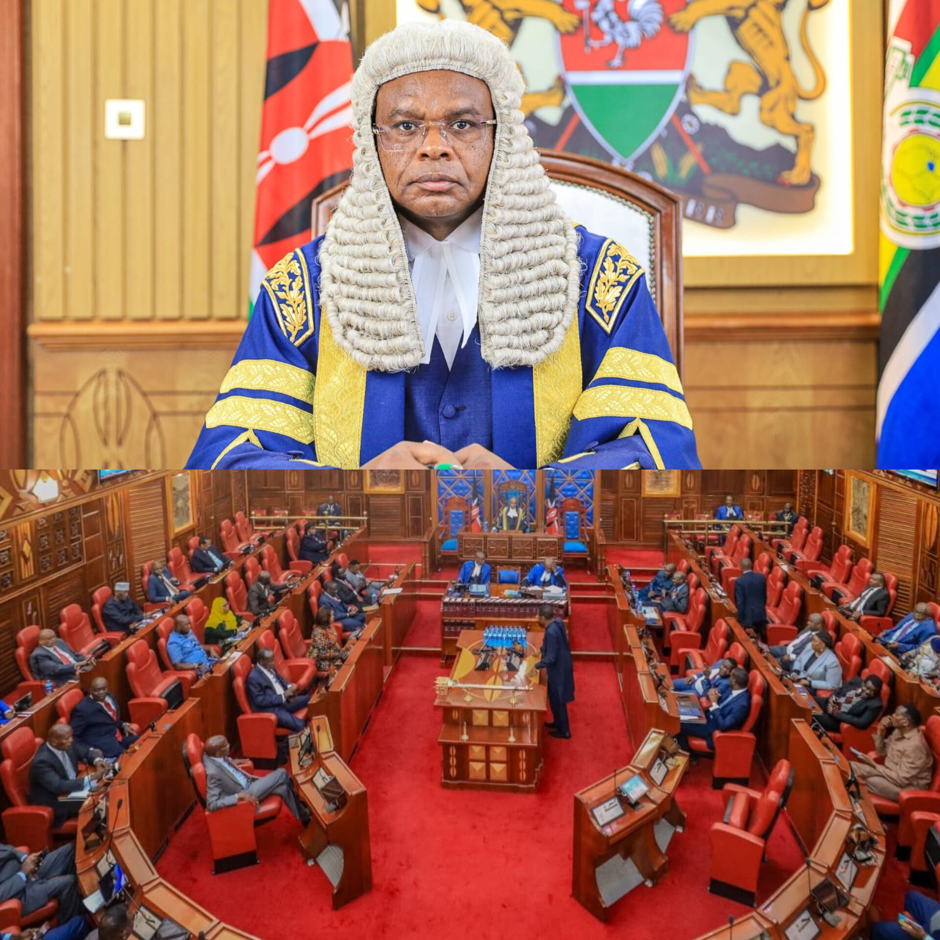 𝐒𝐄𝐍𝐀𝐓𝐄 𝐓𝐎 𝐂𝐎𝐍𝐒𝐈𝐃𝐄𝐑 𝐈𝐌𝐏𝐄𝐀𝐂𝐇𝐌𝐄𝐍𝐓 𝐂𝐇𝐀𝐑𝐆𝐄𝐒 𝐀𝐆𝐀𝐈𝐍𝐒𝐓 𝐍𝐘𝐀𝐌𝐈𝐑𝐀 𝐆𝐎𝐕𝐄𝐑𝐍𝐎𝐑 𝐀𝐌𝐎𝐒 𝐍𝐘𝐀𝐑𝐈𝐁𝐎  