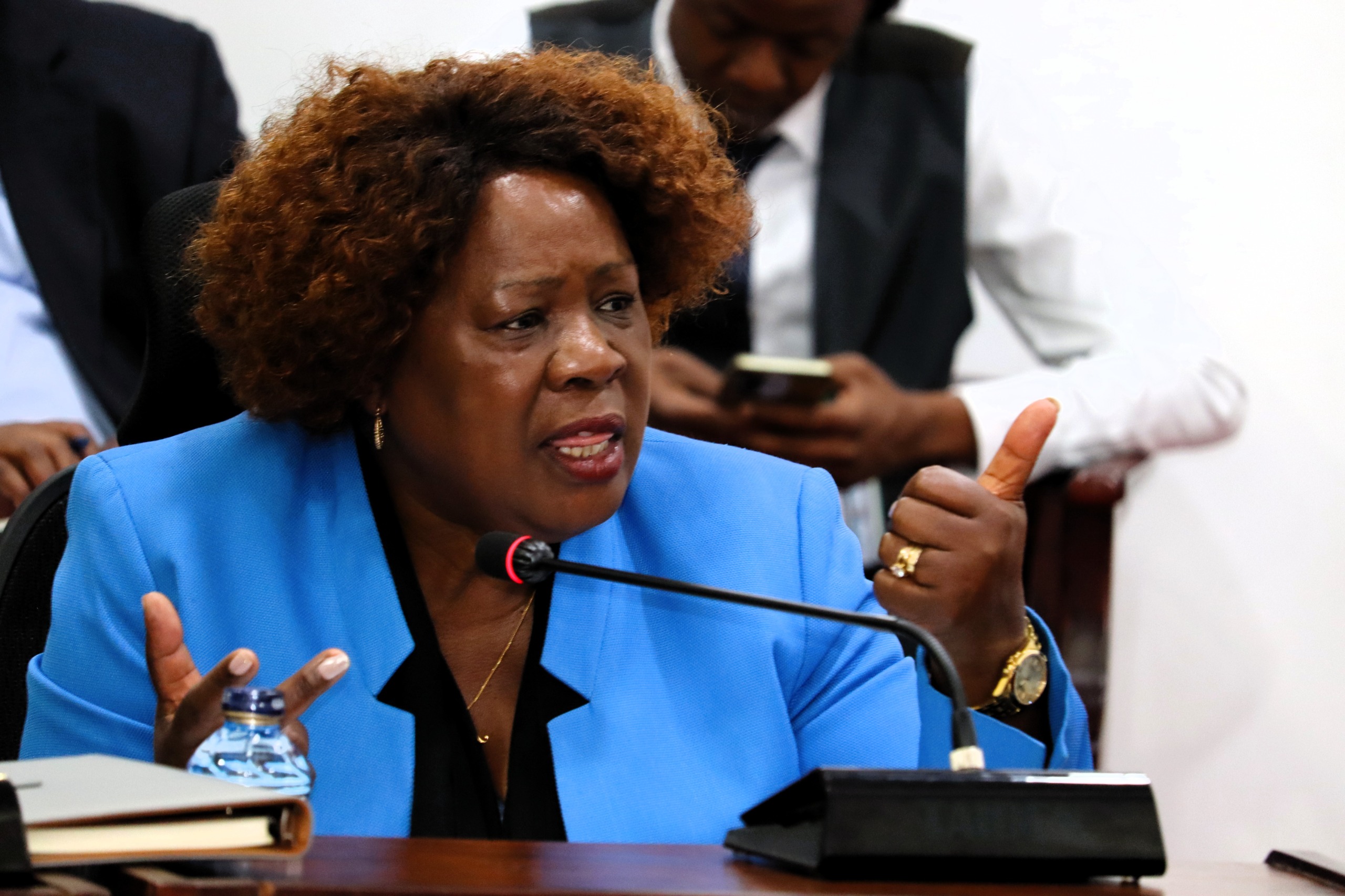 𝐒𝐄𝐍𝐀𝐓𝐄 𝐋𝐀𝐁𝐎𝐔𝐑 𝐂𝐎𝐌𝐌𝐈𝐓𝐓𝐄𝐄 𝐏𝐑𝐄𝐒𝐒𝐄𝐒 𝐋𝐀𝐍𝐃𝐒 𝐌𝐈𝐍𝐈𝐒𝐓𝐑𝐘 𝐀𝐒 𝐅𝐀𝐈𝐋𝐔𝐑𝐄𝐒 𝐈𝐍 𝐏𝐔𝐁𝐋𝐈𝐂 𝐁𝐔𝐈𝐋𝐃𝐈𝐍𝐆 𝐀𝐂𝐂𝐄𝐒𝐒𝐈𝐁𝐈𝐋𝐈𝐓𝐘 𝐏𝐄𝐑𝐒𝐈𝐒𝐓  