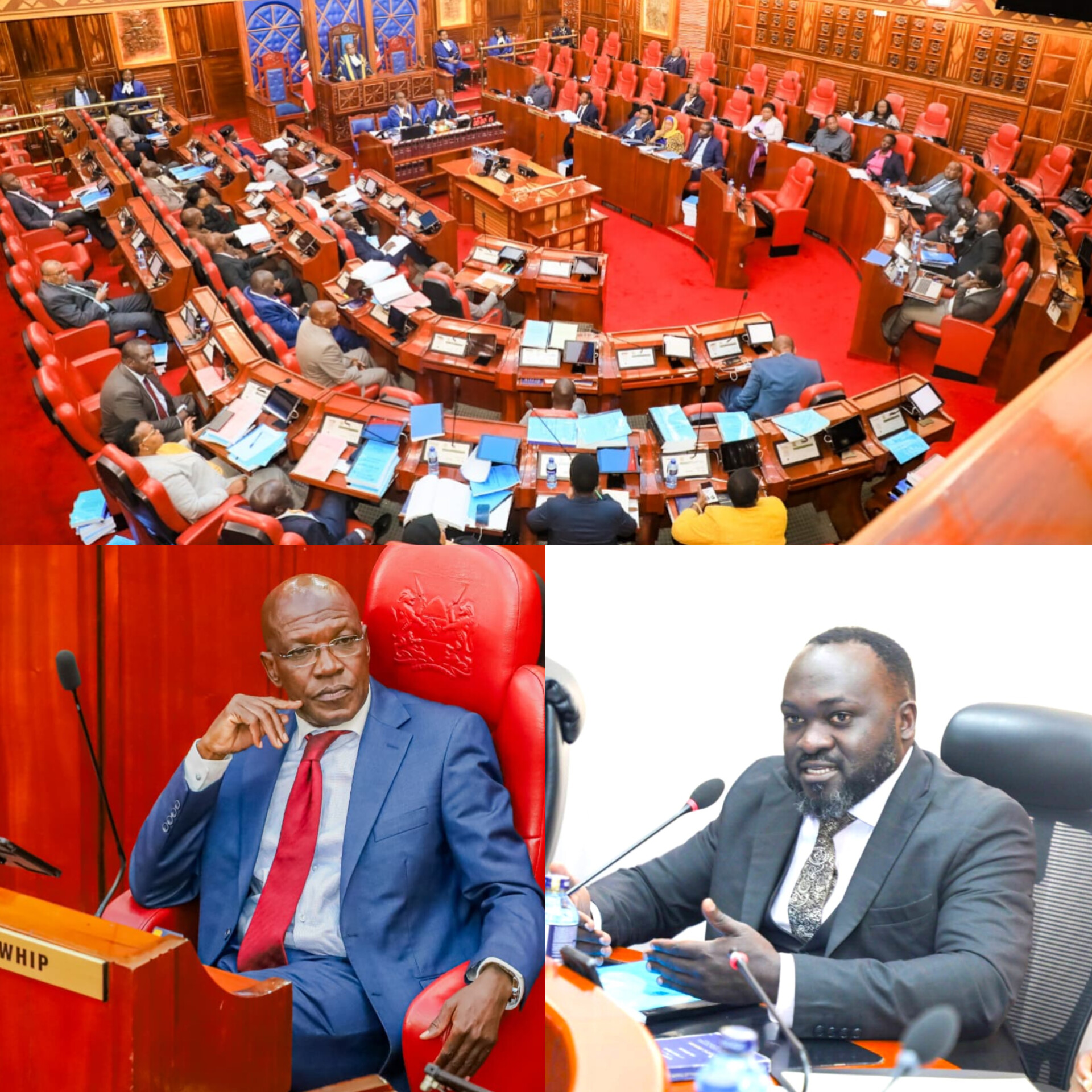 𝐌𝐀𝐉𝐎𝐑𝐈𝐓𝐘 𝐏𝐀𝐑𝐓𝐘 𝐂𝐇𝐀𝐍𝐆𝐄𝐒 𝐒𝐄𝐍𝐀𝐓𝐄 𝐌𝐀𝐉𝐎𝐑𝐈𝐓𝐘 𝐖𝐇𝐈𝐏   