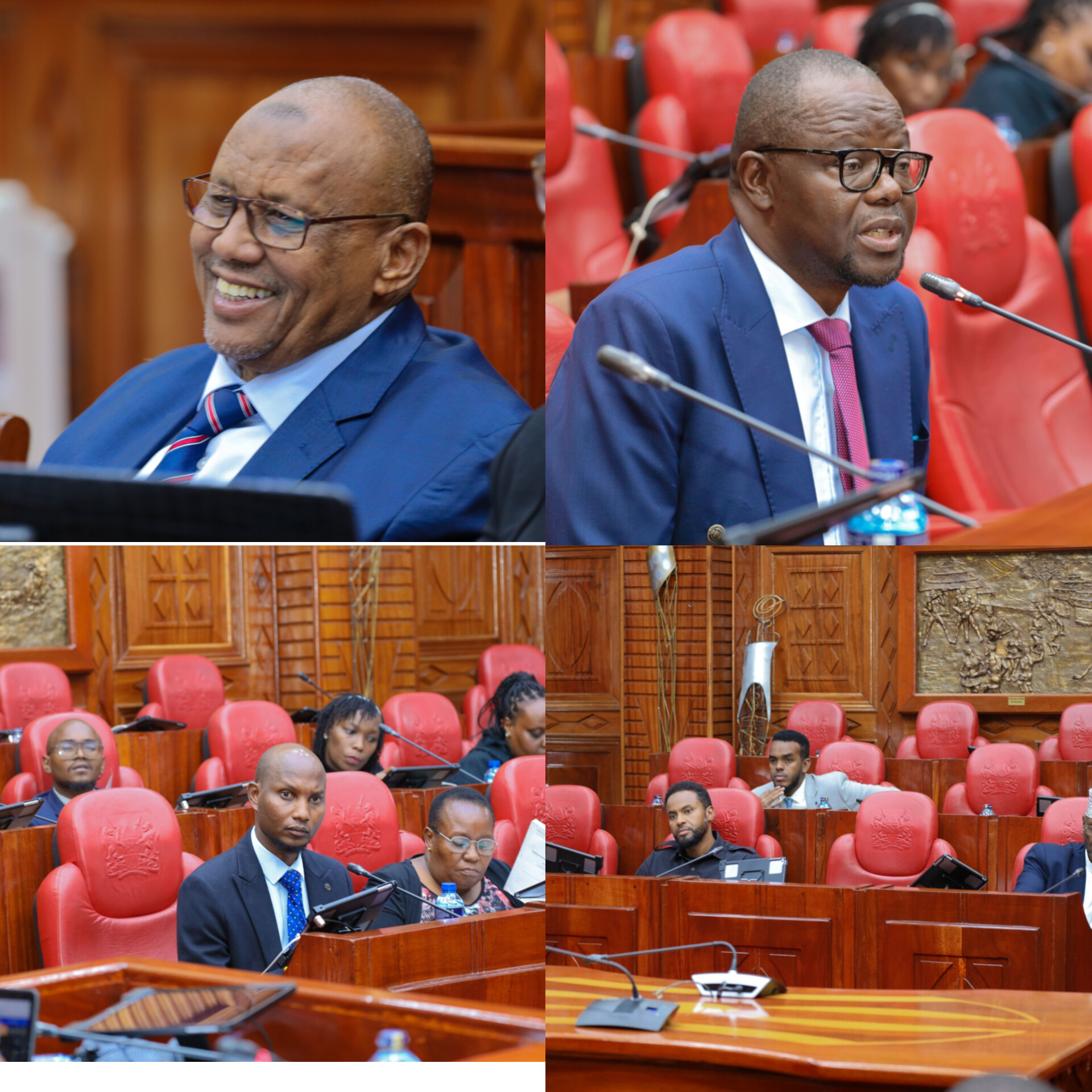 DEVOLUTION COMMITTEE CONDUCTS PUBLIC HEARING ON THE COUNTY GOVERNMENTS' LAWS  