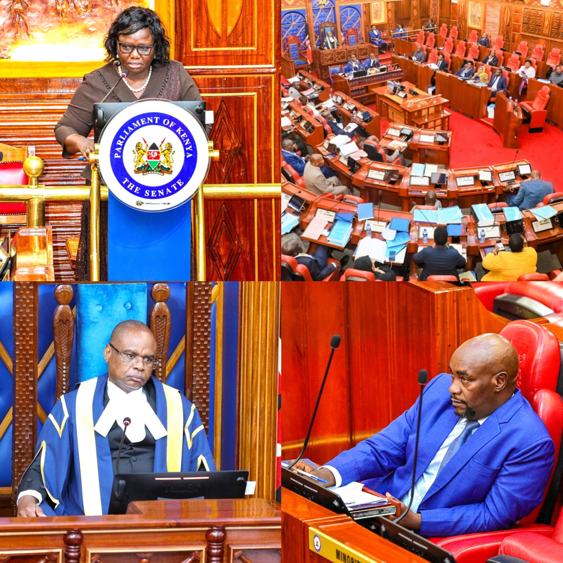 𝐓𝐇𝐄 𝐒𝐄𝐍𝐀𝐓𝐄 𝐃𝐄𝐌𝐀𝐍𝐃𝐒 𝐂𝐋𝐄𝐀𝐑 𝐀𝐍𝐒𝐖𝐄𝐑𝐒 𝐎𝐍 𝐃𝐑𝐎𝐔𝐆𝐇𝐓 𝐑𝐄𝐒𝐏𝐎𝐍𝐒𝐄  