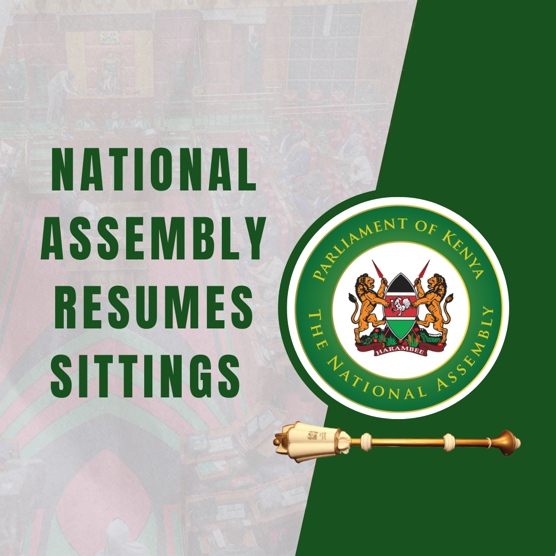 National Assembly Sitting 