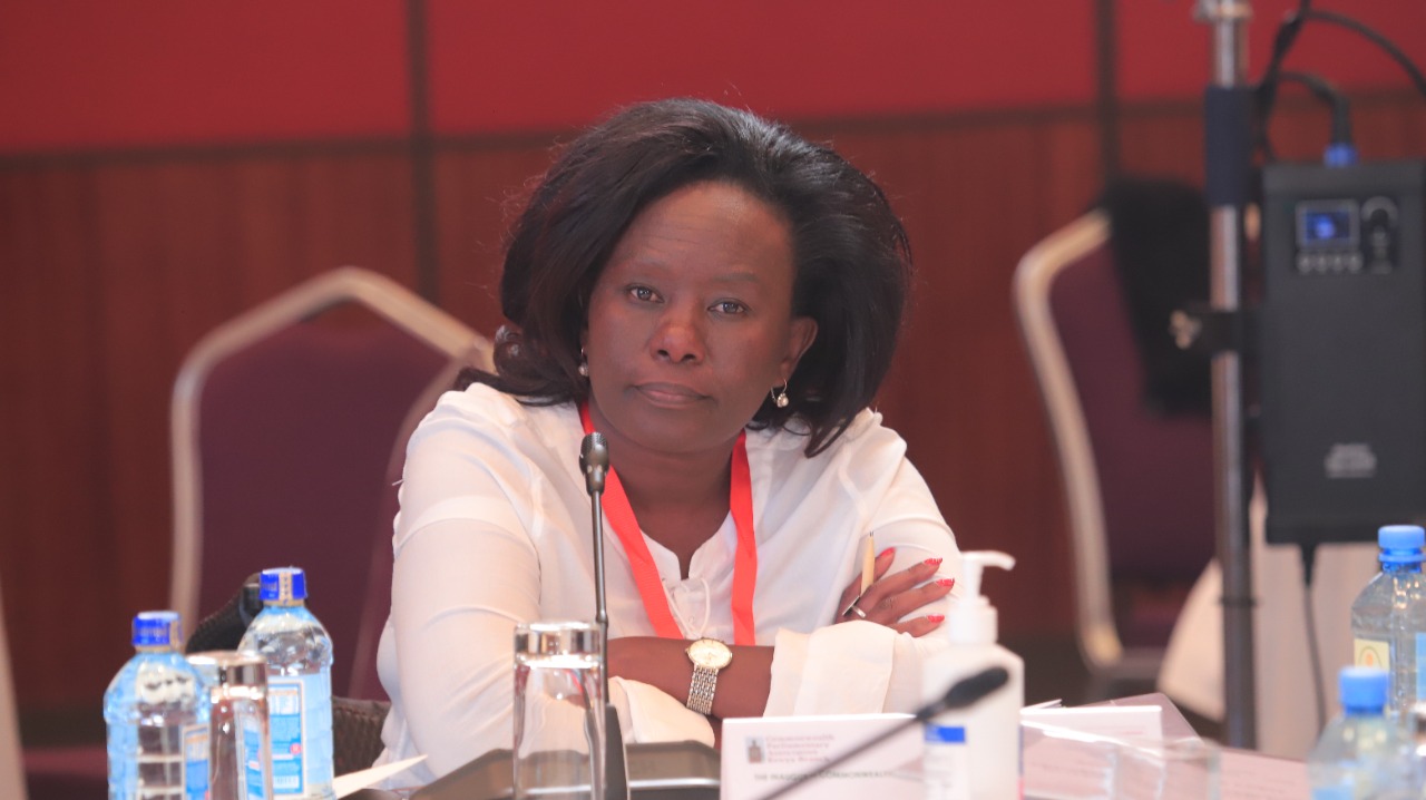 Hon Denittah Ghati reiterated the need to fully implement the provisions of Article 29(a) of the United Nations Convention on the Rights of Persons with Disabilities which obligates States to ensure that persons with disabilities can effectively and fully participate in political and public life on an equal basis with others, either directly or through freely chosen representatives