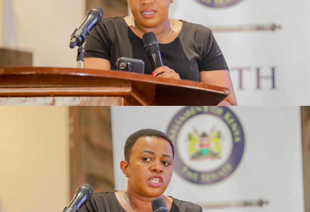 𝐓𝐇𝐄 𝐍𝐄𝐄𝐃 𝐅𝐎𝐑 𝐒𝐓𝐑𝐎𝐍𝐆𝐄𝐑 𝐄𝐗𝐄𝐂𝐔𝐓𝐈𝐕𝐄–𝐏𝐀𝐑𝐋𝐈𝐀𝐌𝐄𝐍𝐓 𝐒𝐘𝐍𝐄𝐑𝐆𝐘  