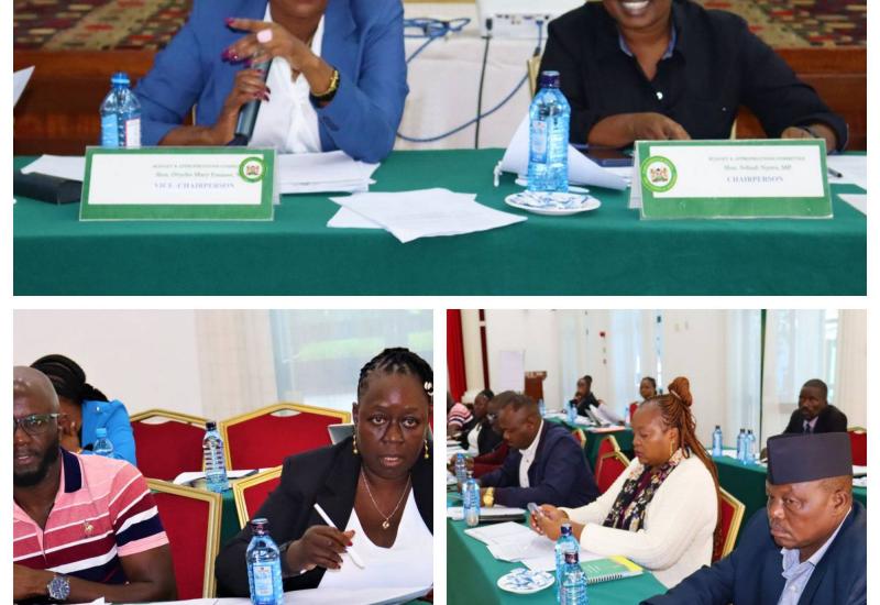 BUDGET COMMITTEE APPROVES LEGISLATIVE PROPOSALS TO AMEND BILLS 