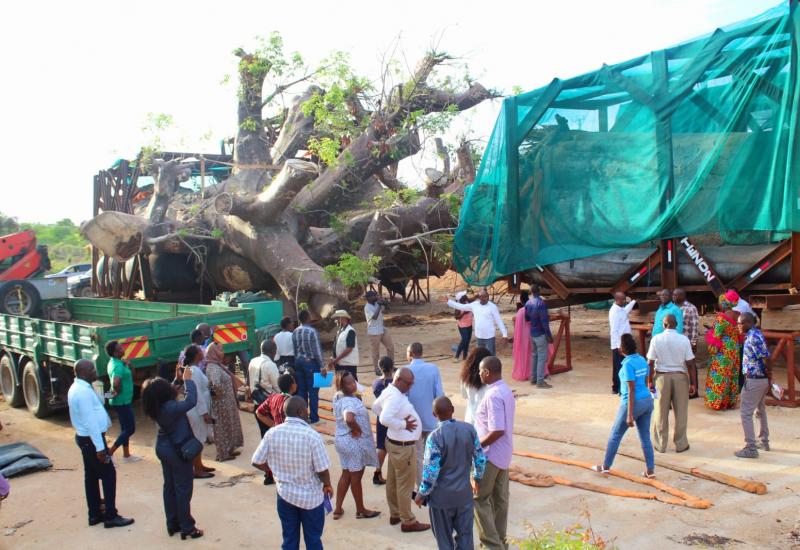 COMMITTEE ON ENVIRONMENT VISITS BOYA YARD KILIFI COUNTY 