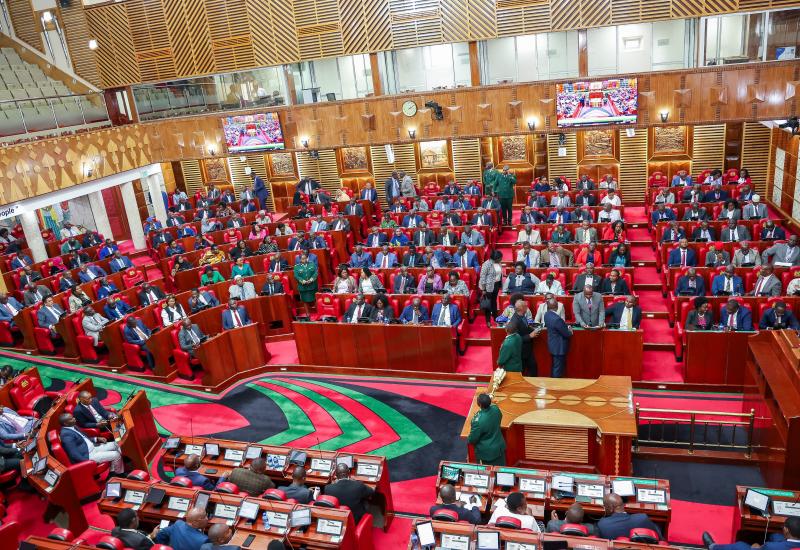 National Assembly Sitting 